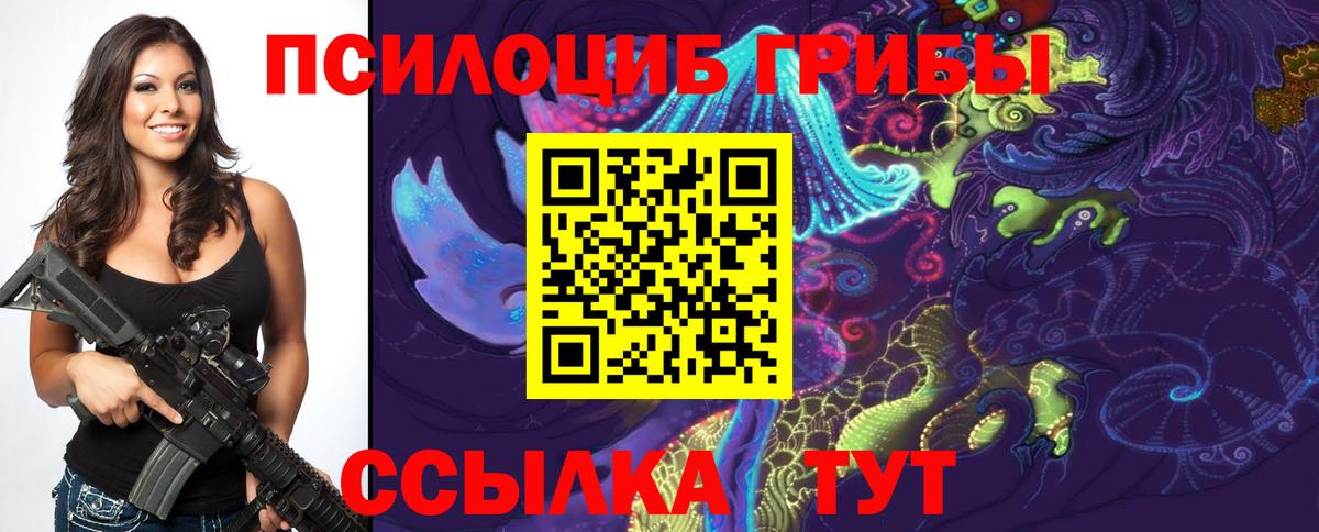 Галлюциногенные грибы MAGIC MUSHROOMS  Галлюциногенные грибы мицелий  Тара  Вход с VPN 