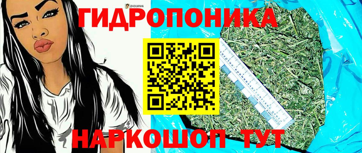 Конопля тримм  Вход с VPN  МАРИХУАНА сатива  Марихуана VHQ  Марихуана семена  Тара 